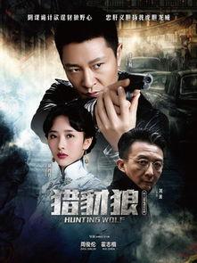 豺狼电视剧,揭秘神秘组织背后的权力斗争与生死较量